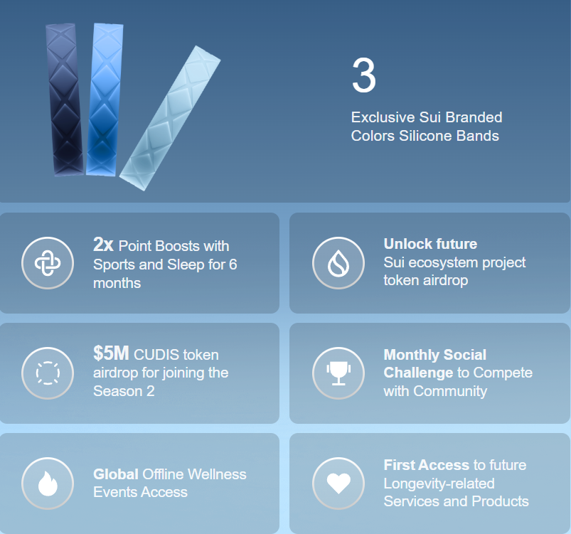 CUDIS x Sui Sporty Ring